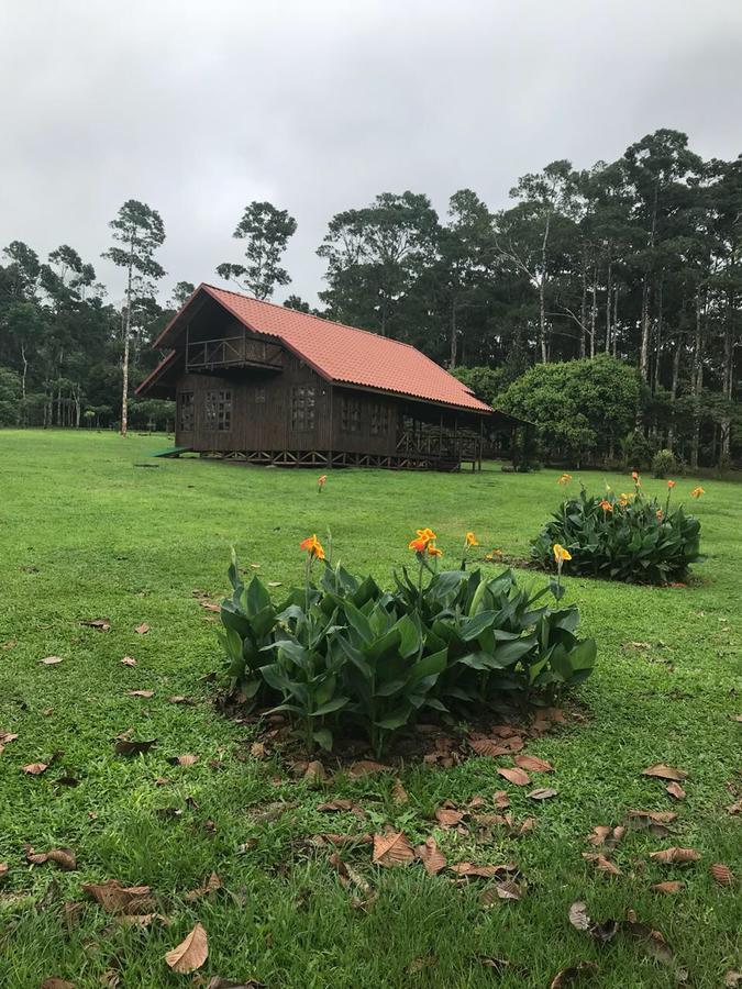 Cabana Rodeada De Naturaleza En San Carlos Villa Quesada  Esterno foto