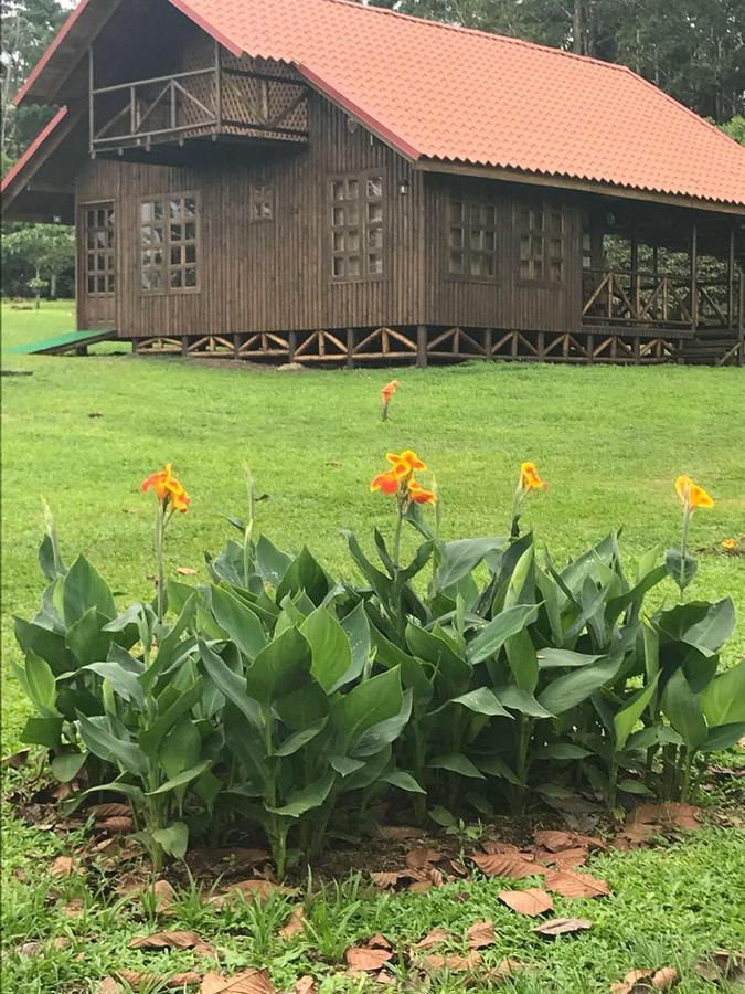 Cabana Rodeada De Naturaleza En San Carlos Villa Quesada  Esterno foto