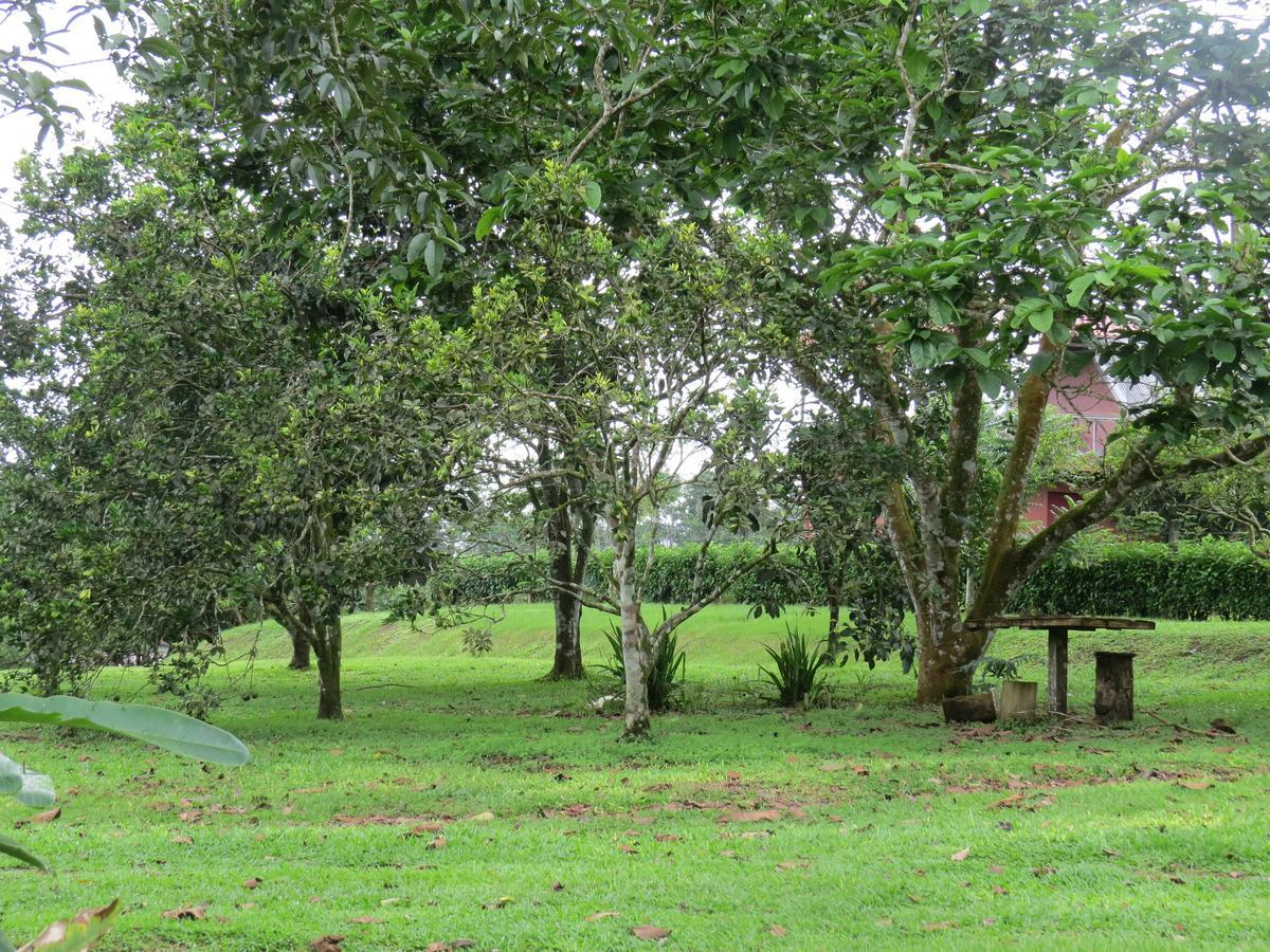 Cabana Rodeada De Naturaleza En San Carlos Villa Quesada  Esterno foto