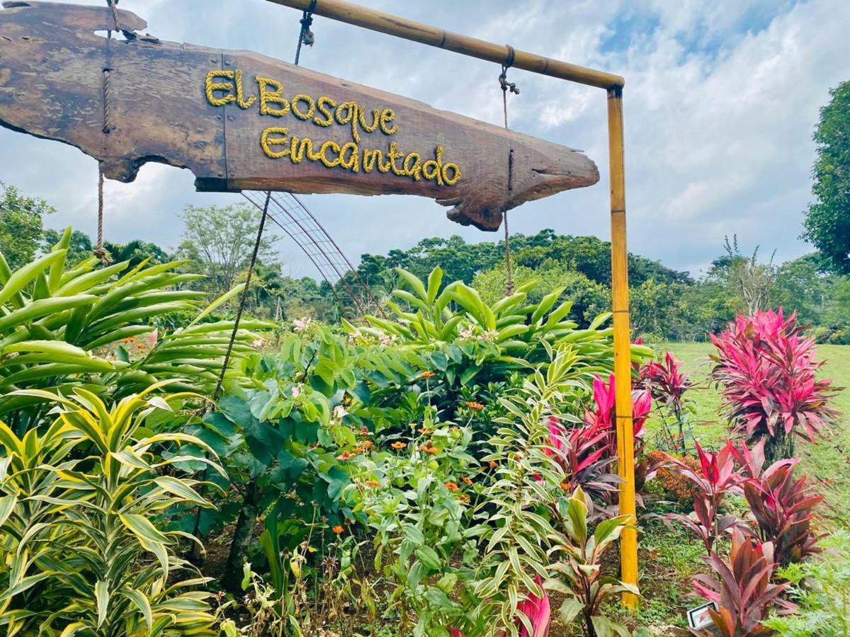 Cabana Rodeada De Naturaleza En San Carlos Villa Quesada  Esterno foto